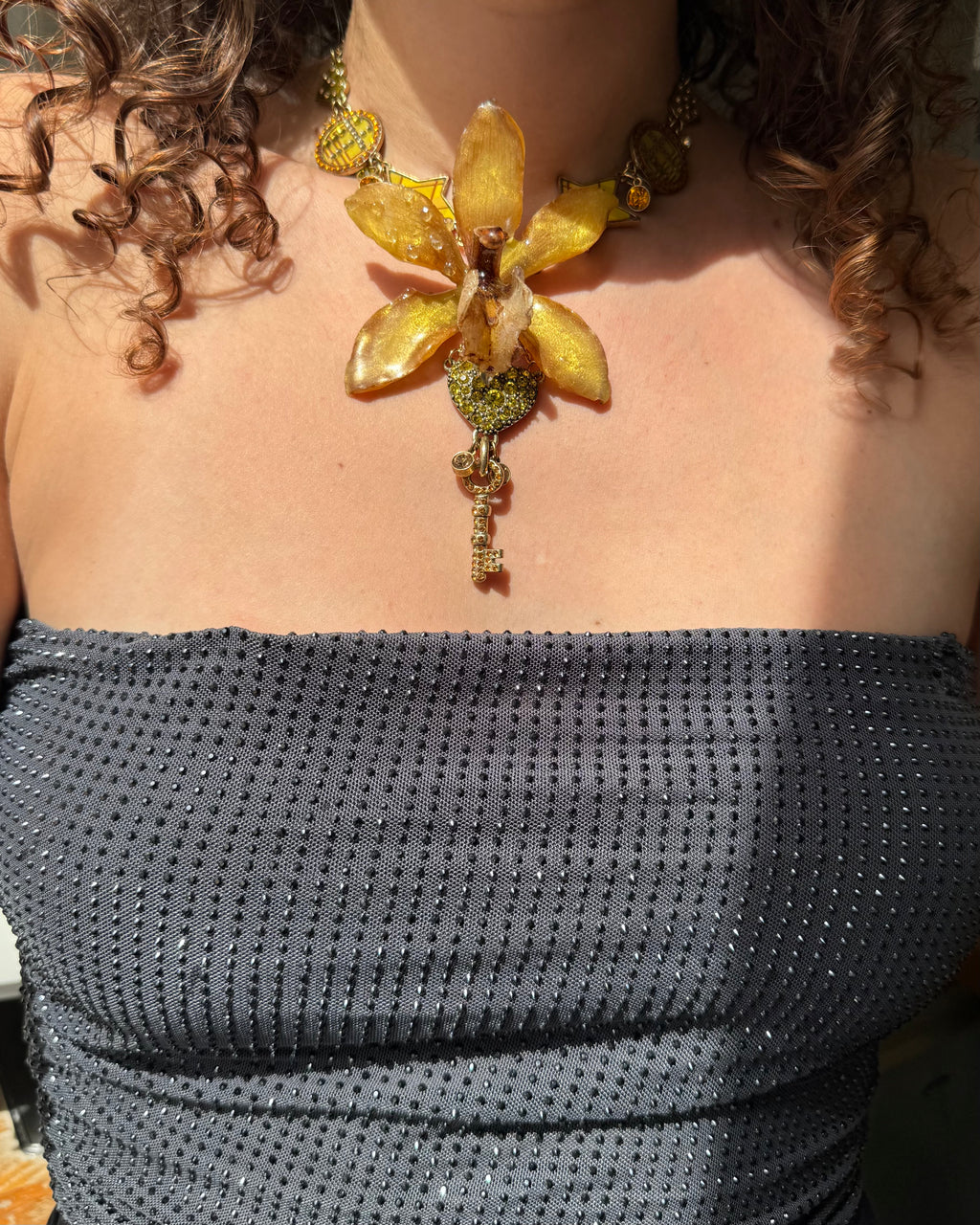 Diana orchid