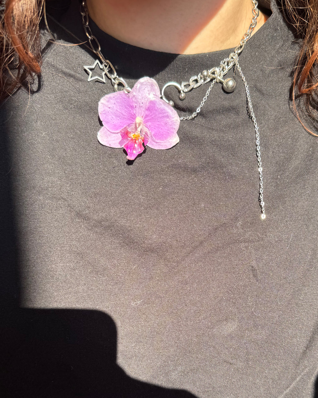 Ashley orchid