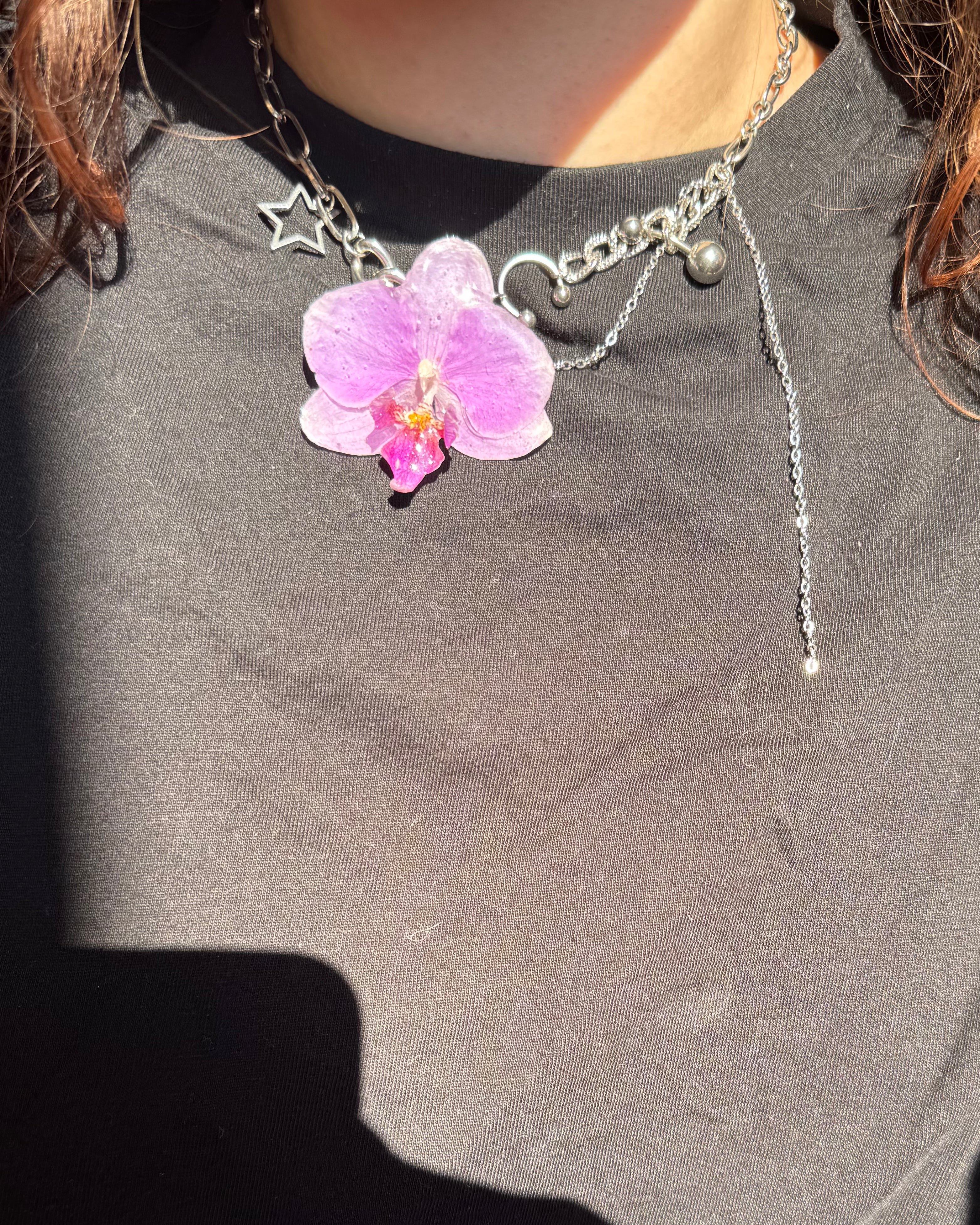 Ashley orchid