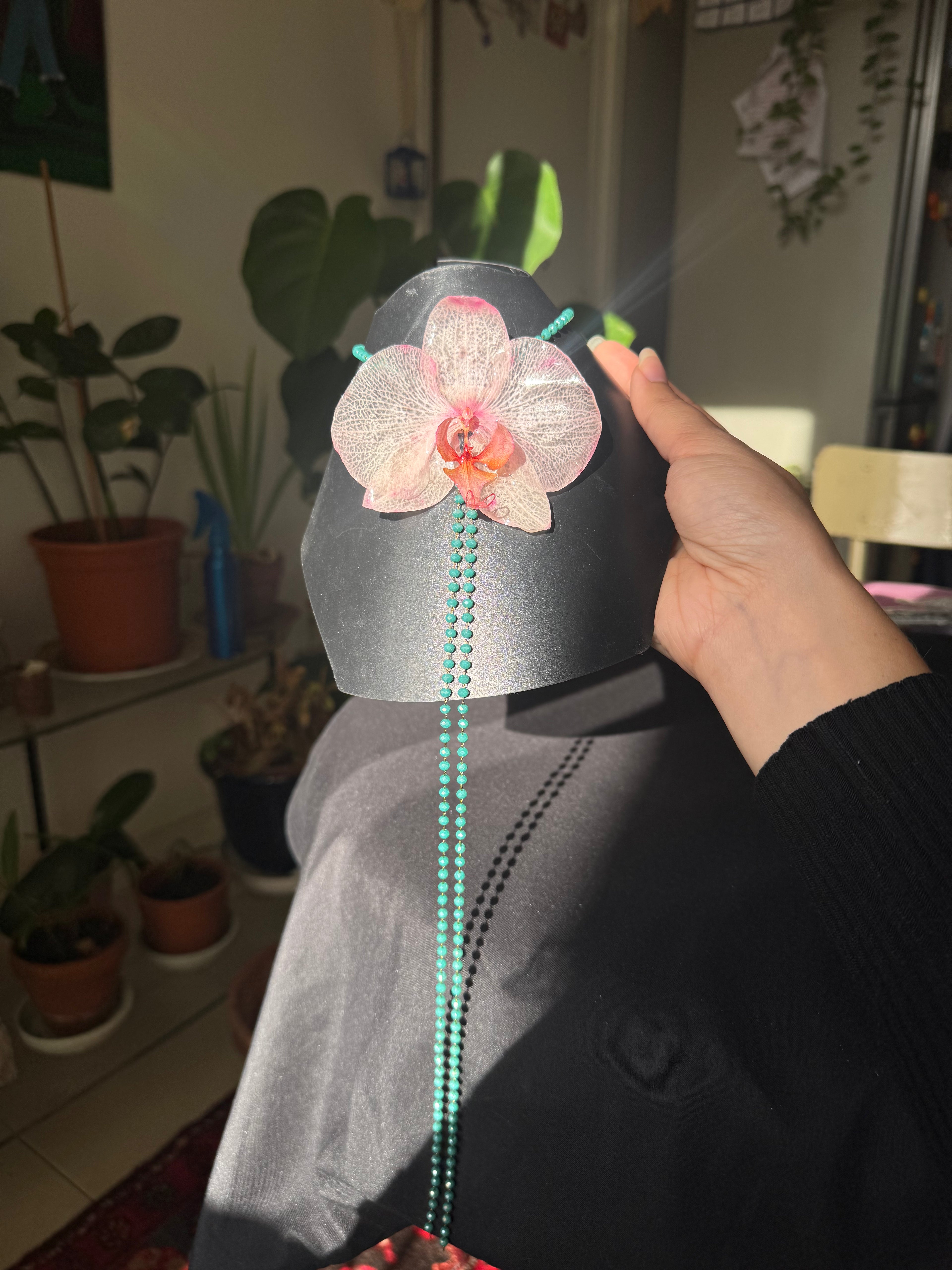 VENUS signature - Blush orchid