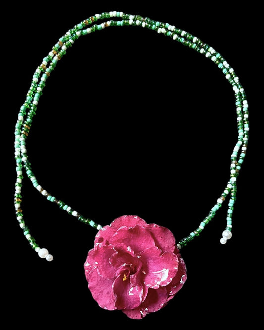 Camellia japonica