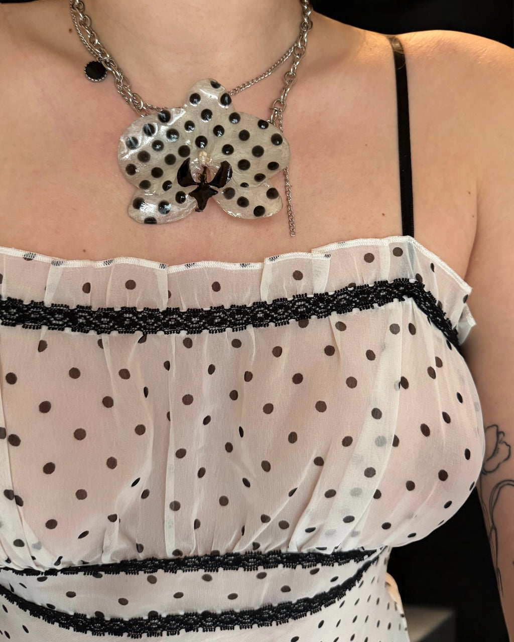 gepunktete Phalaenopsis