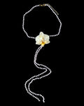 mini star orchid