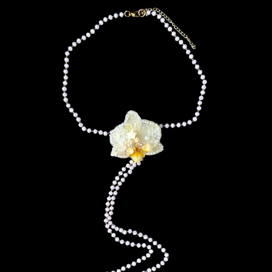 Miniature star orchid