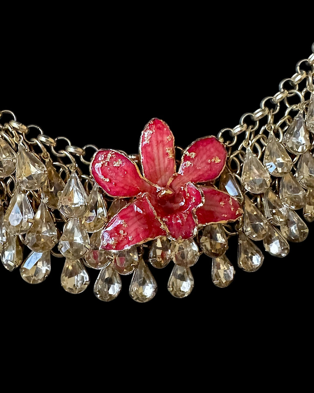 Diamonds river orchid
