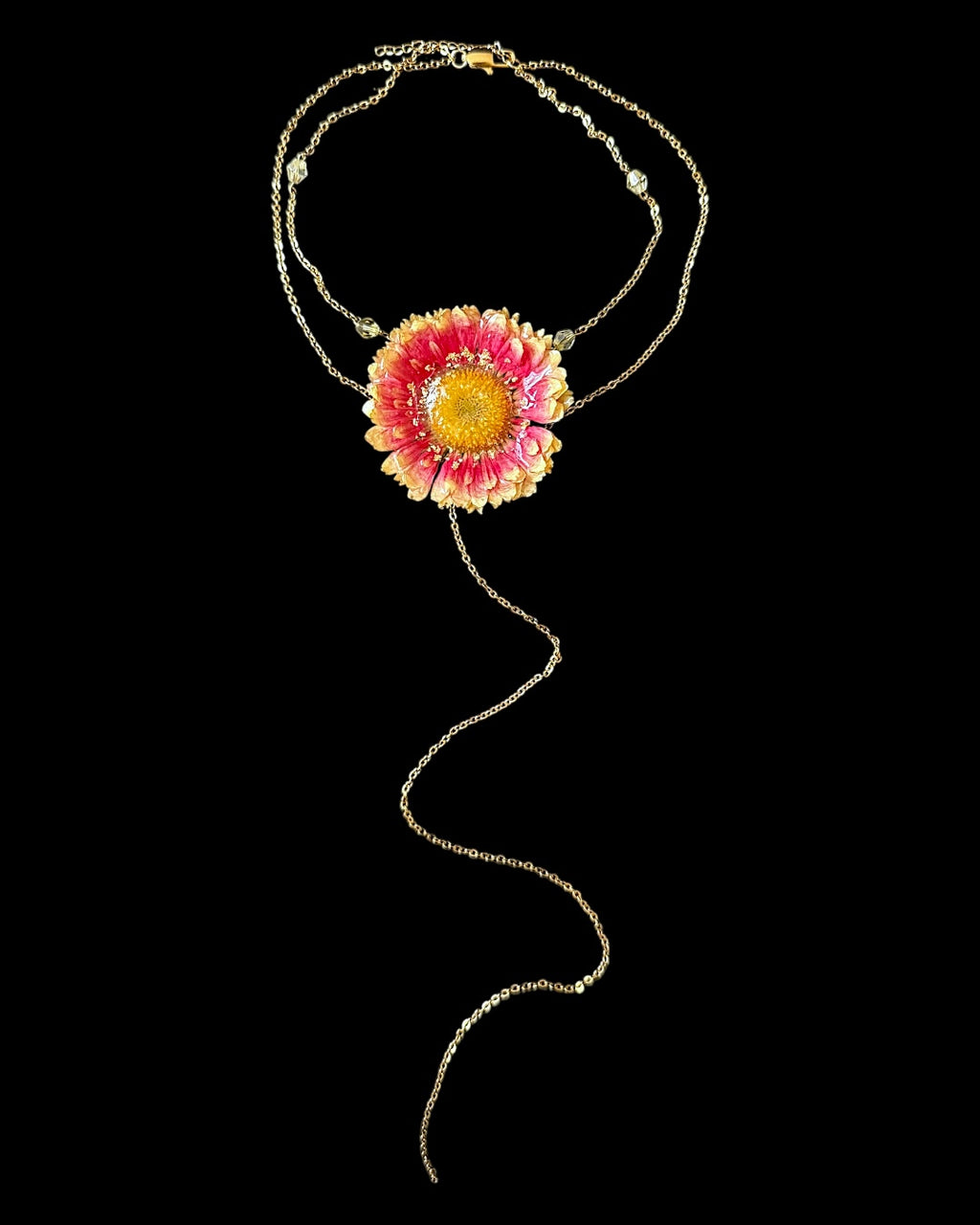 Goldy gerbera daisy