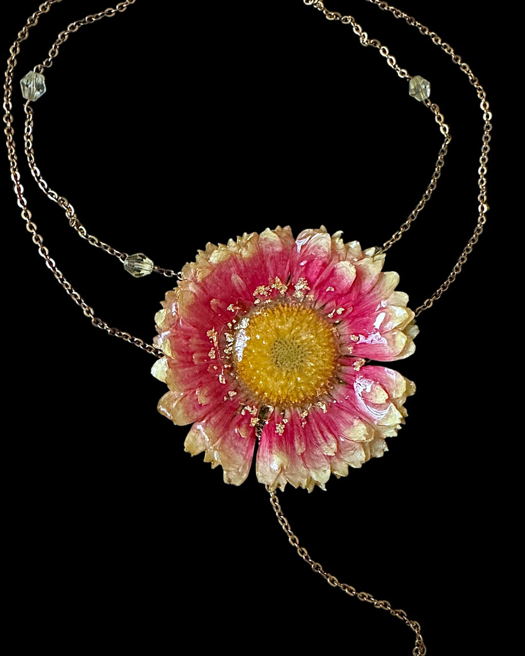 Goldy gerbera daisy