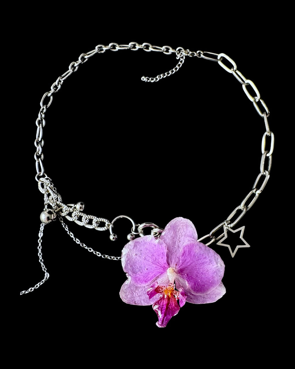 Ashley orchid