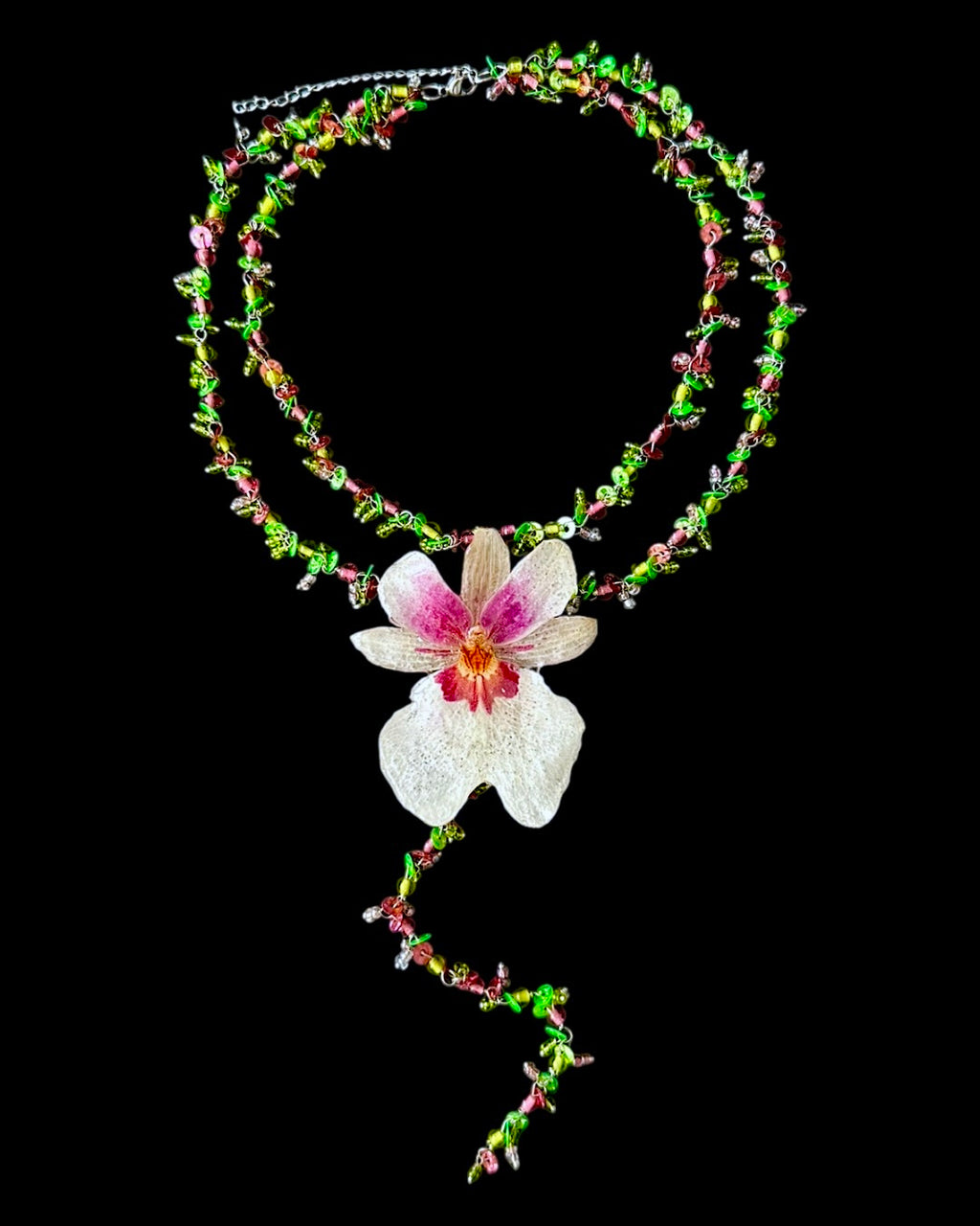 Marylin orchid