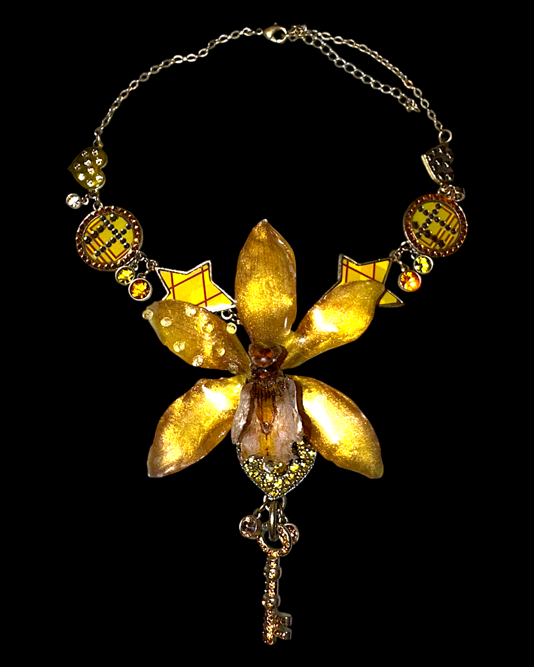 Diana orchid