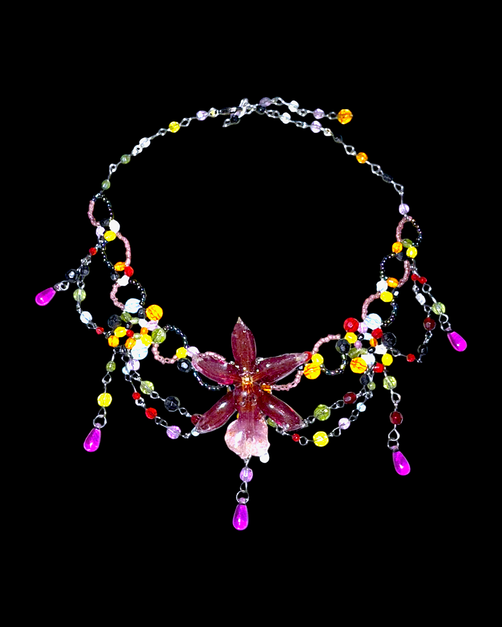 Pimi orchid