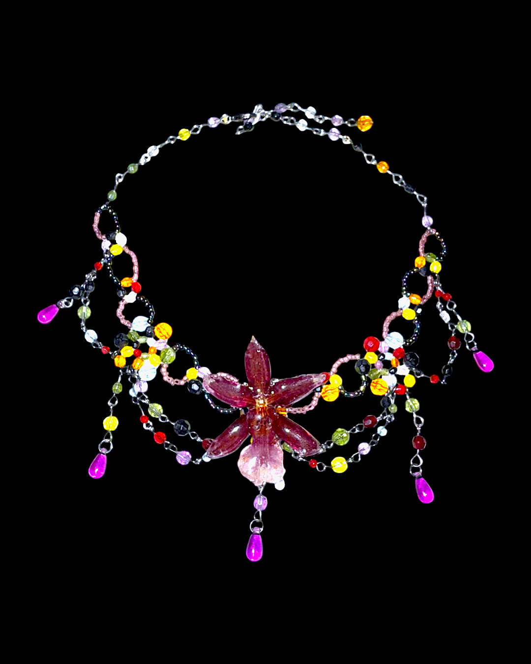 Pimi orchid