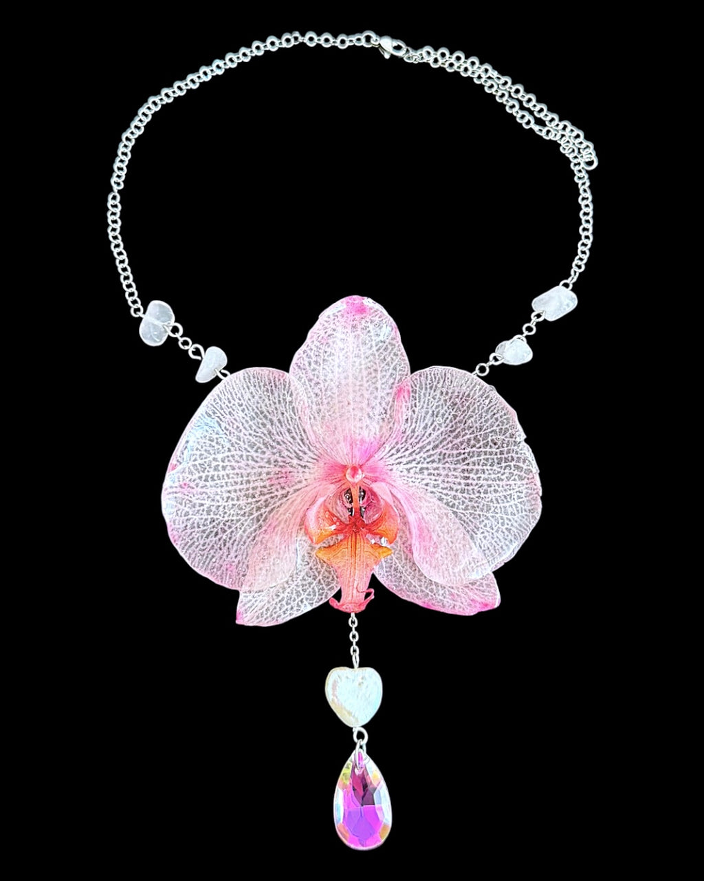 Petunia orchid
