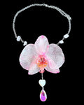Petunien-Orchidee