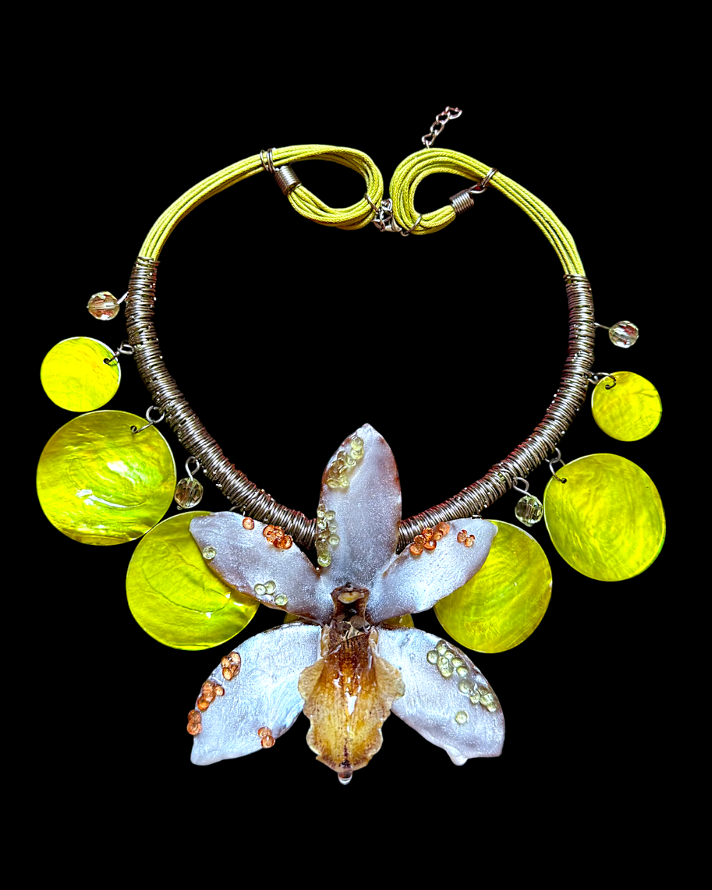 Dolly-Orchidee