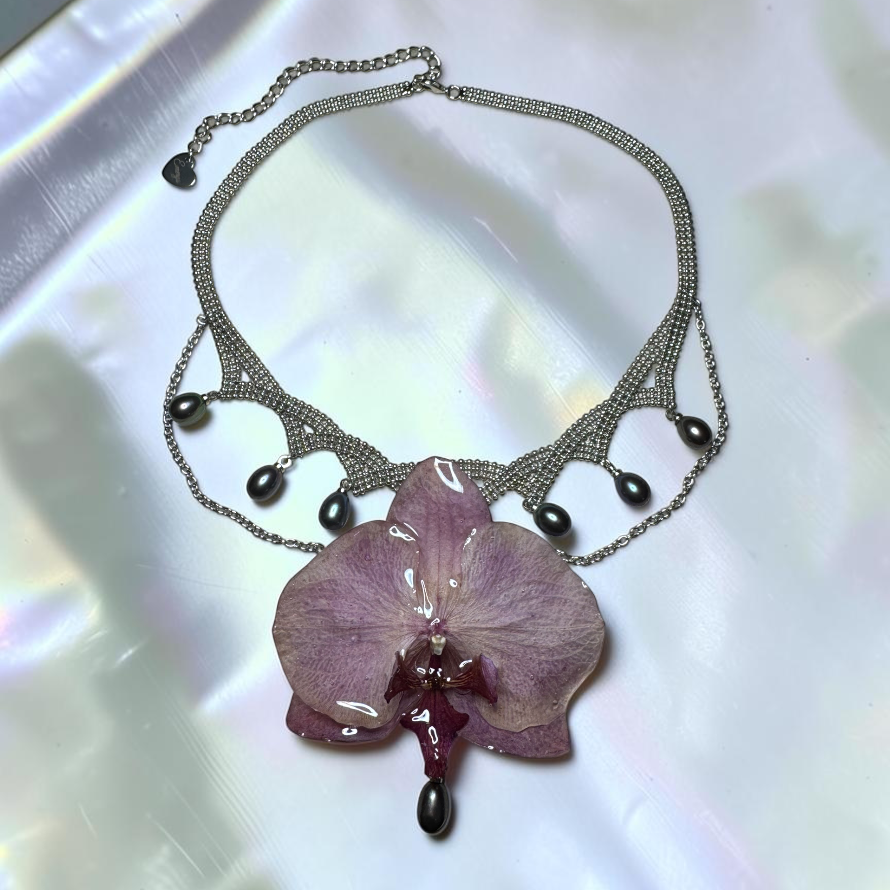 Marisol orchid