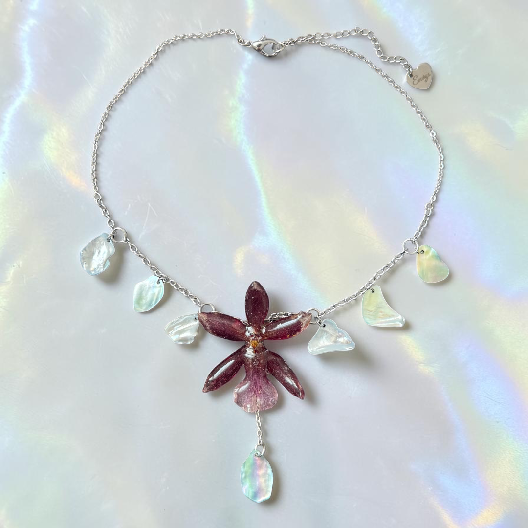 Yumi orchid