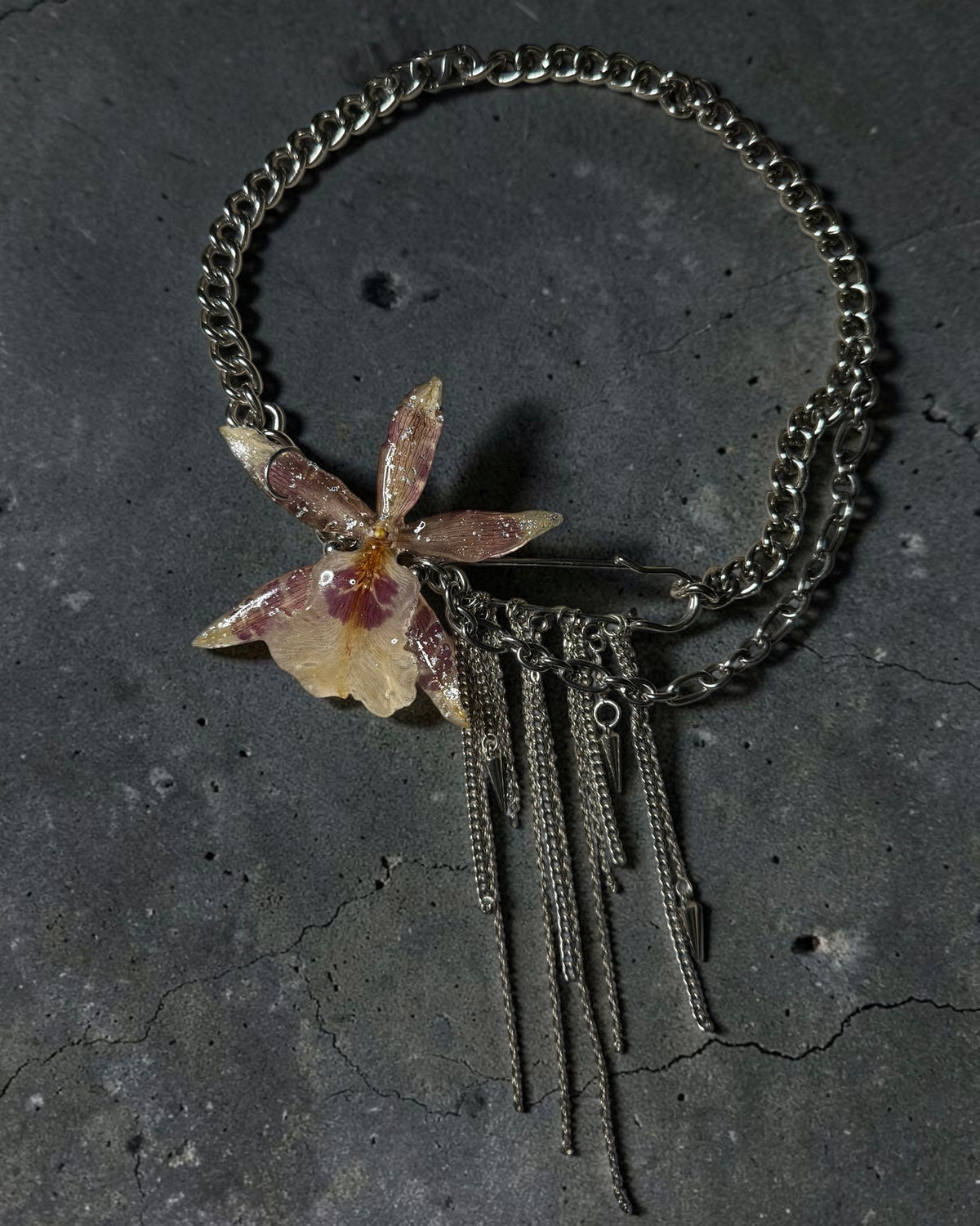 Starjunk orchid