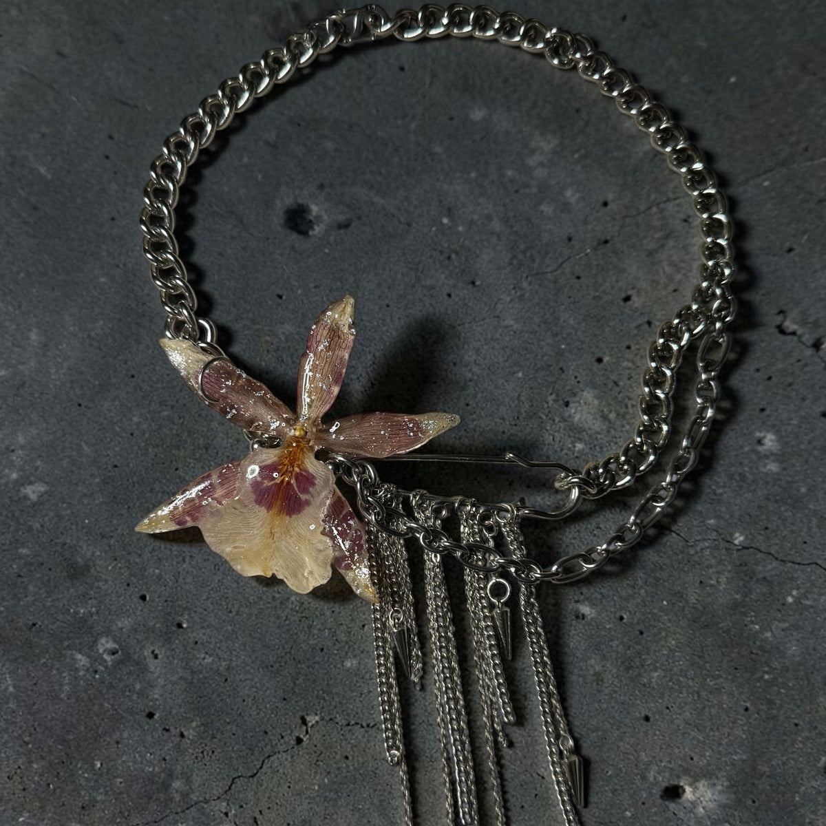 Starjunk orchid