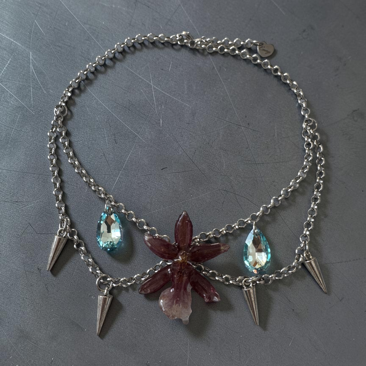 Pixy Orchid