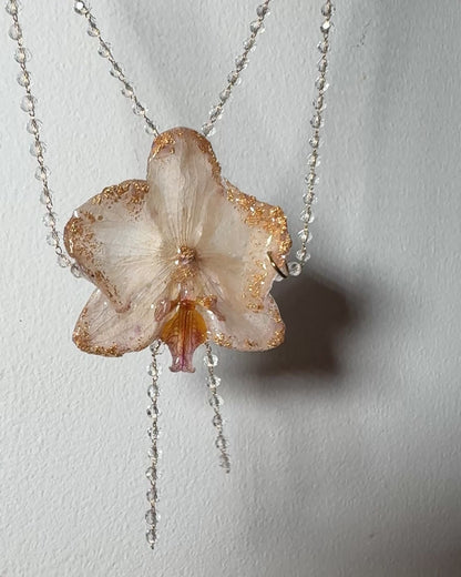 Pearl orchid gold