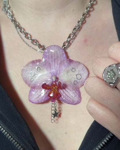 Star orchid