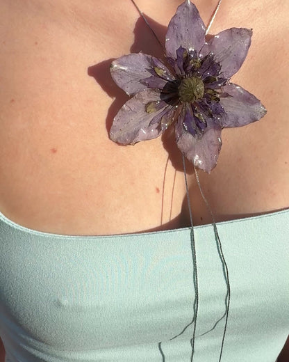 Purple clematis