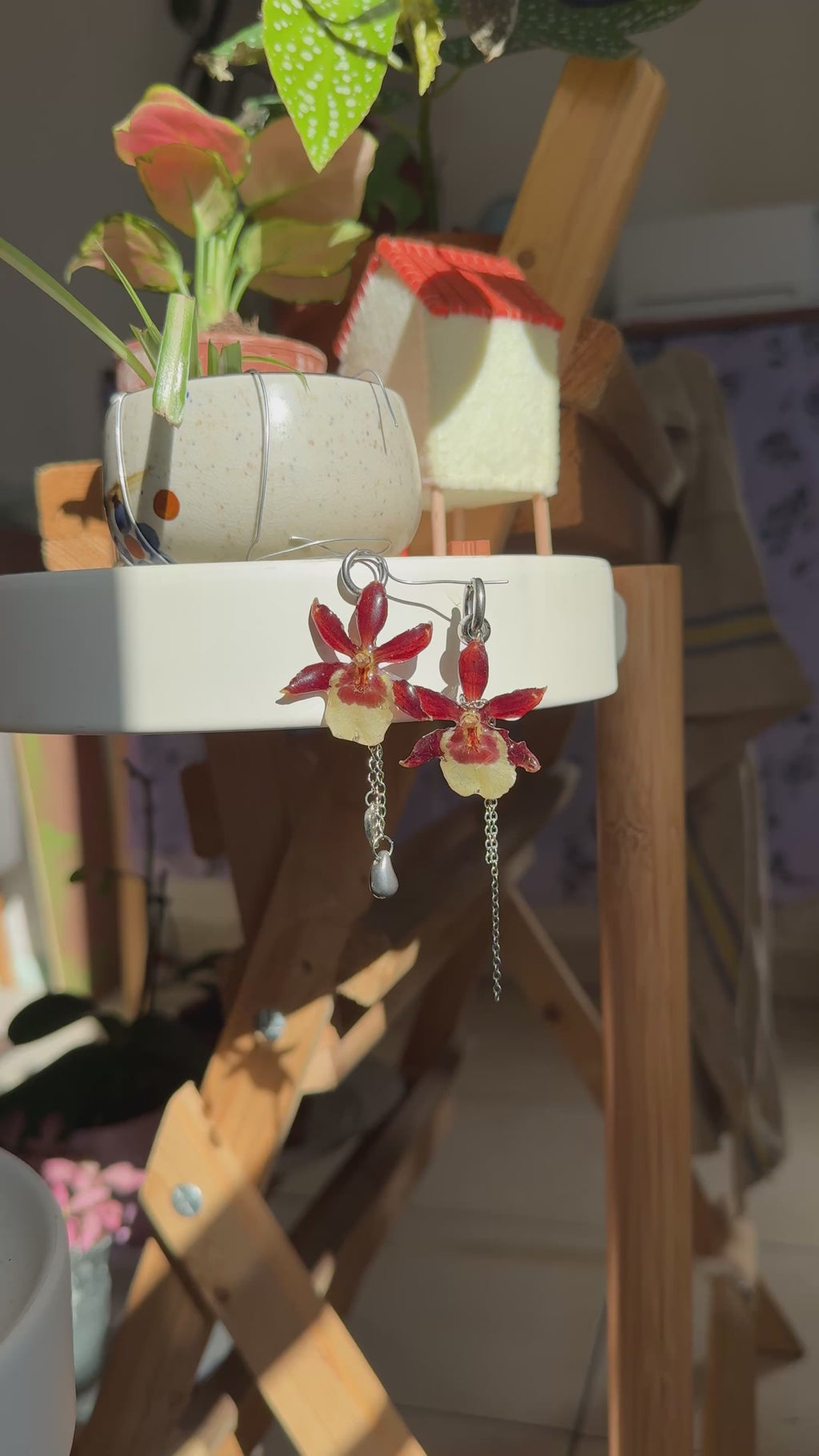Magalie orchid