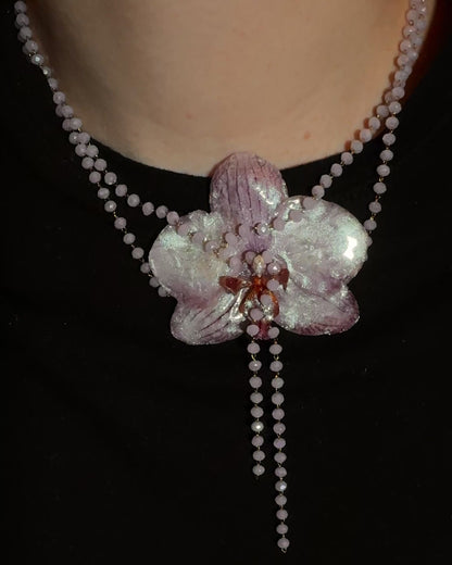 Perlmuttfarbene Orchidee
