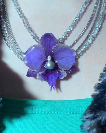 Grey pearl orchid