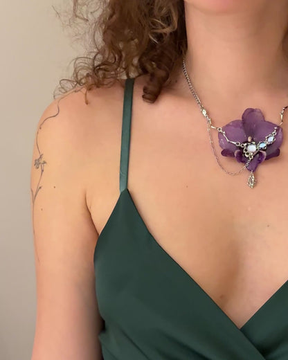 Purple phalaenopsis