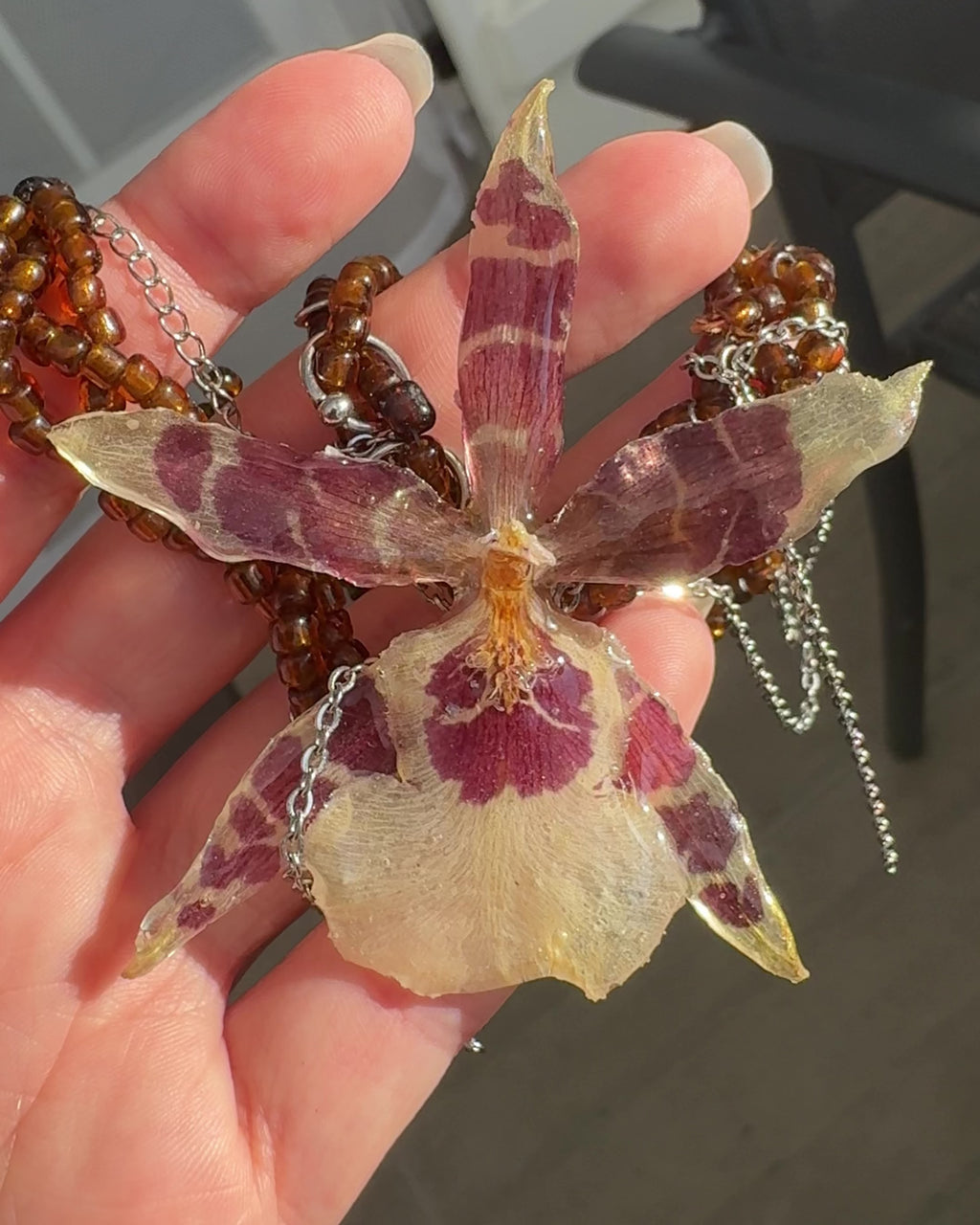 Sasha Orchid