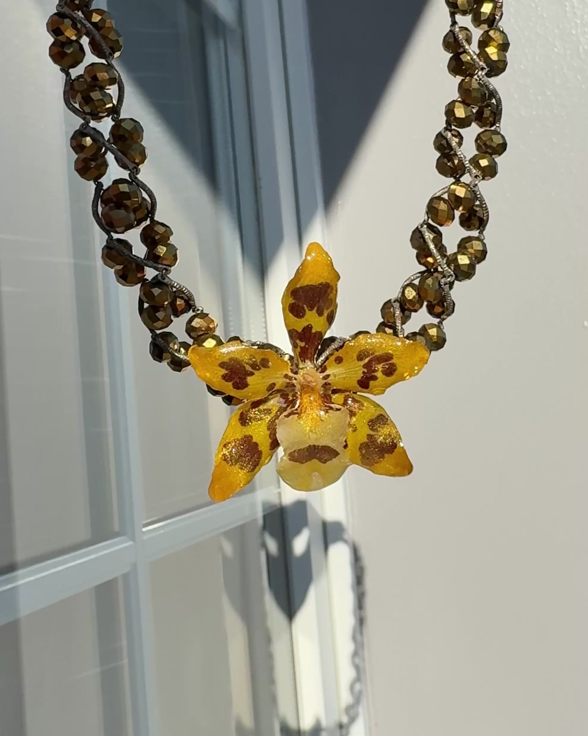 Oncidium-Giraffe