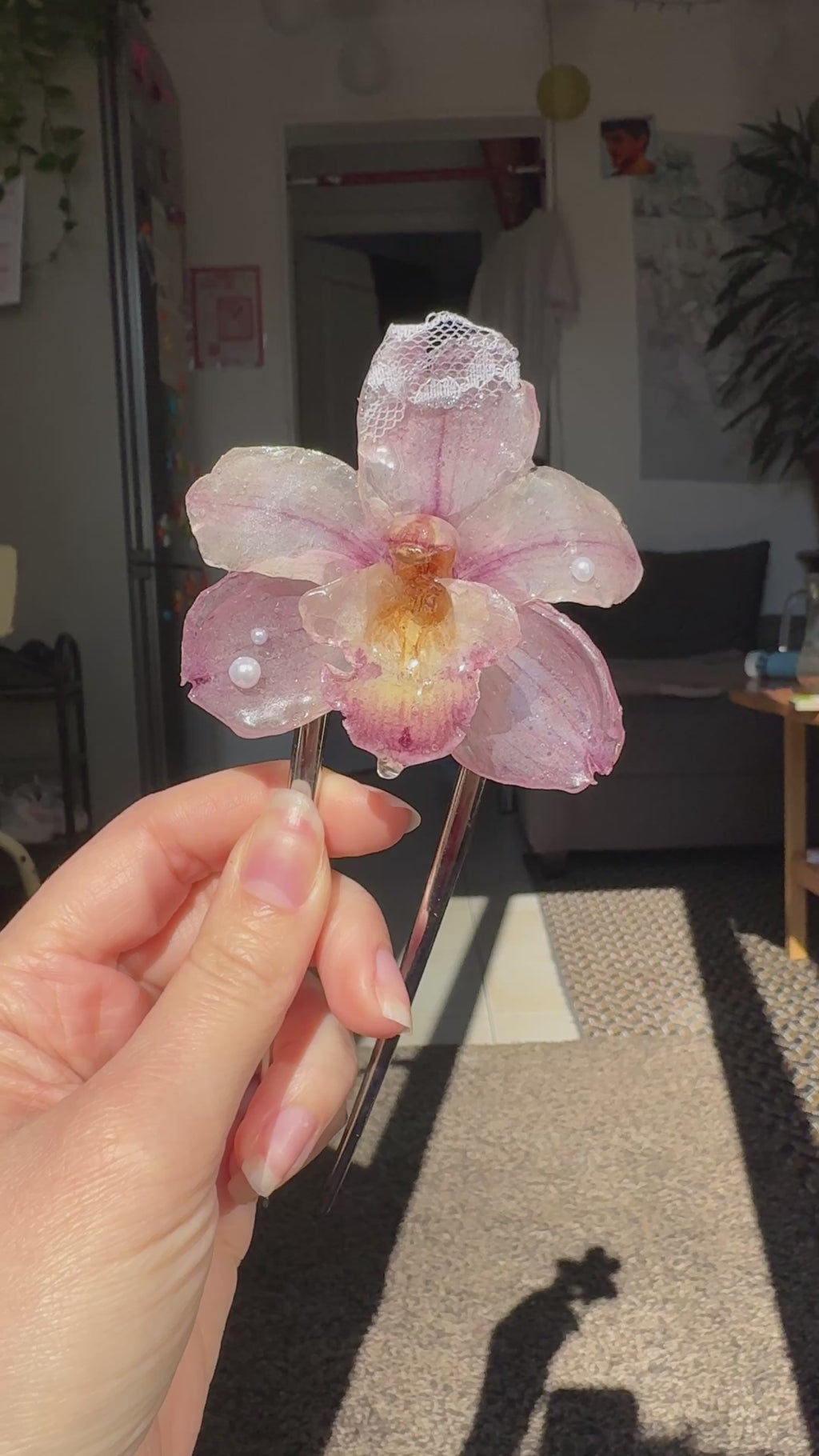 Perla orchid