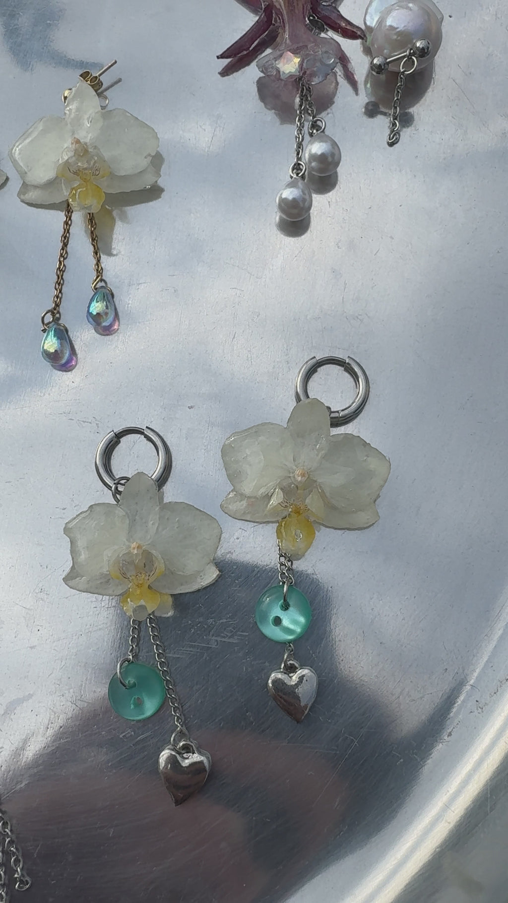 Lucia orchid