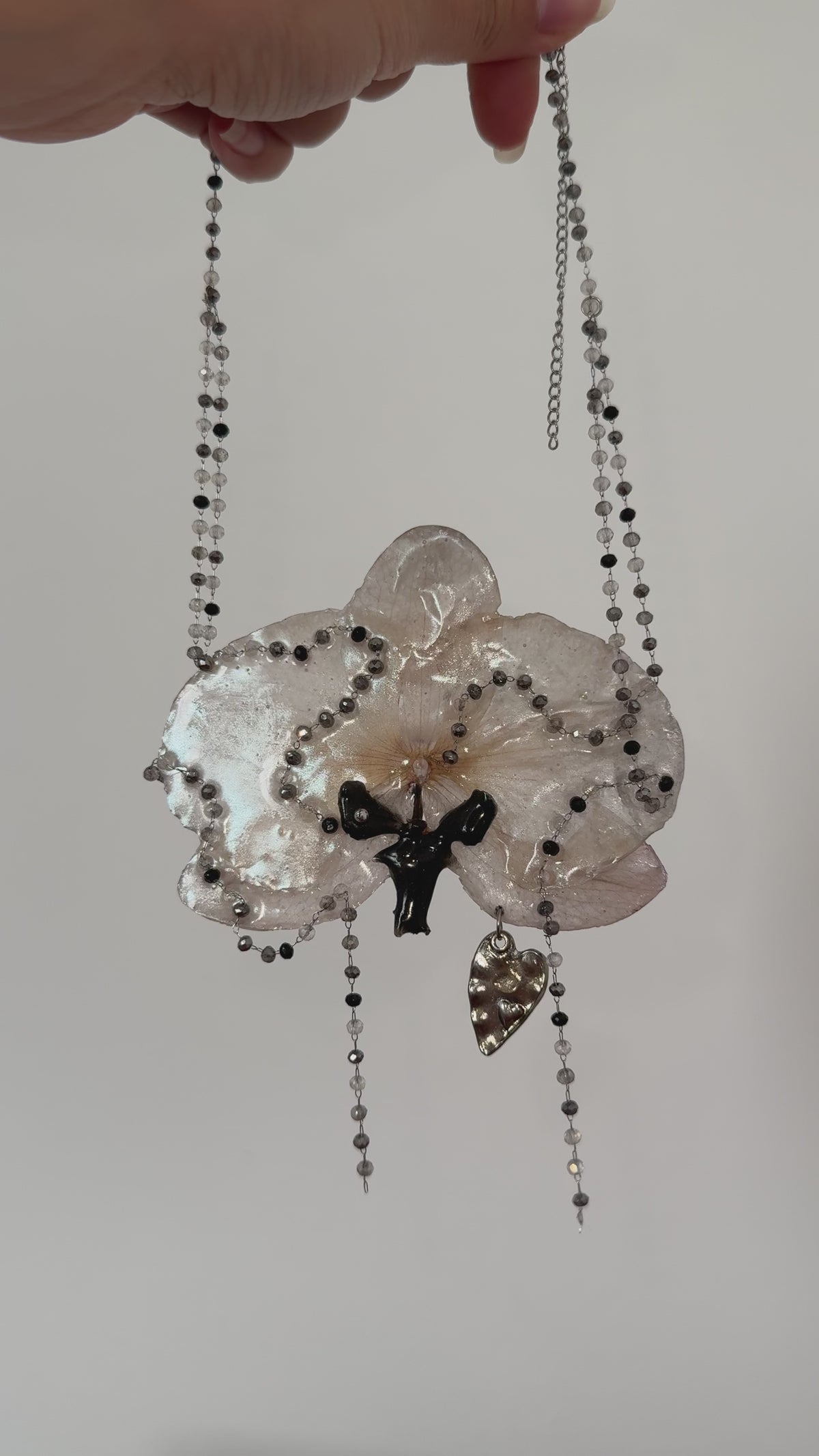 Théa orchid