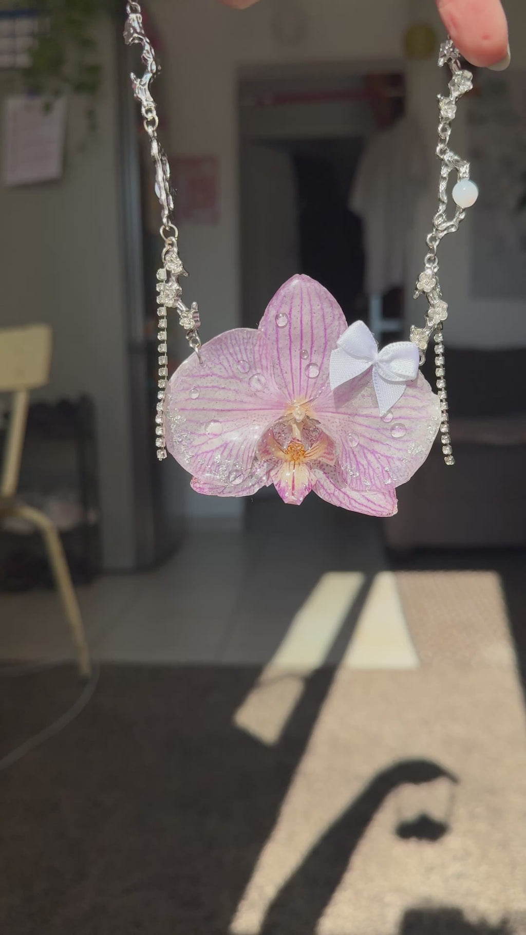 Cristo orchid