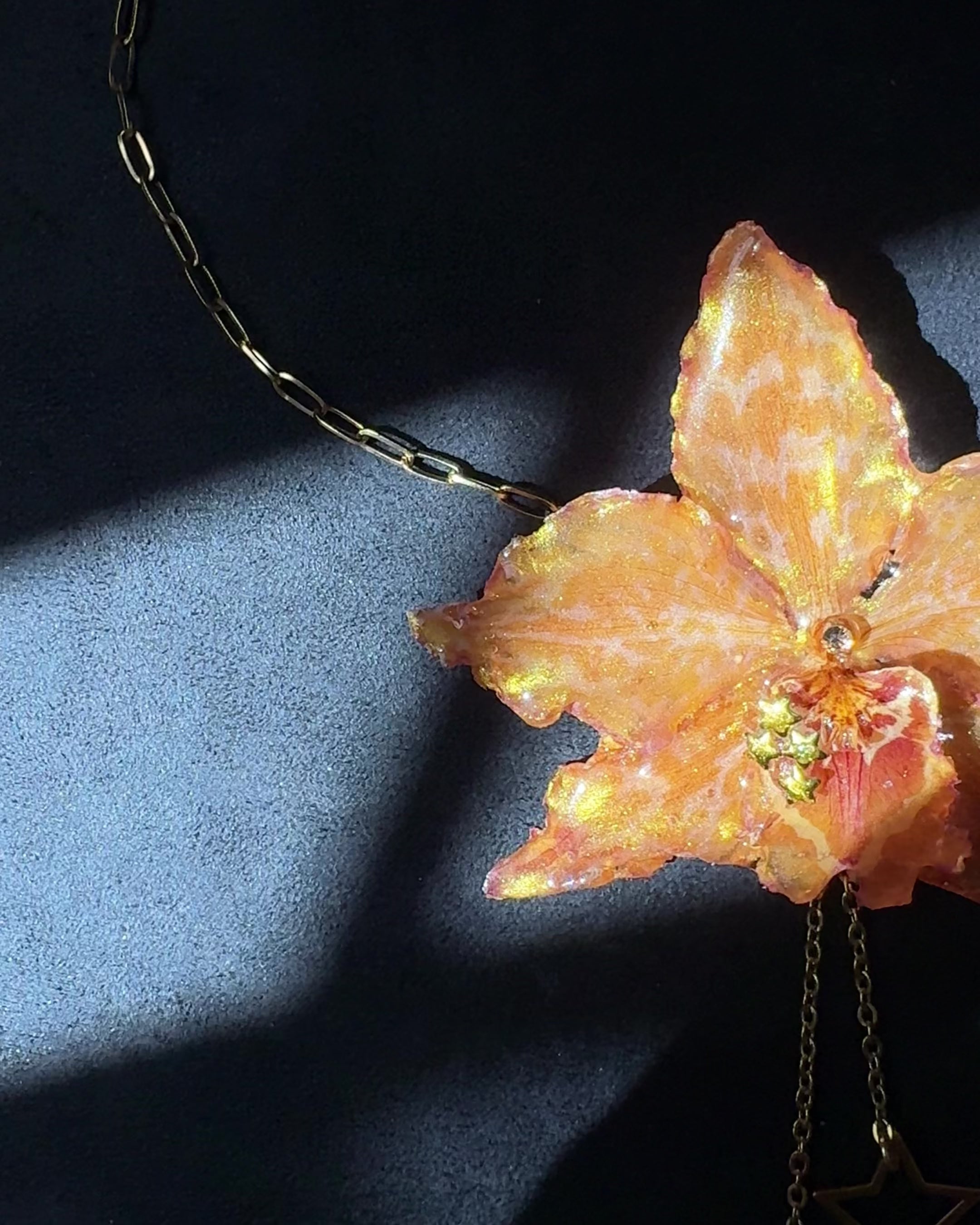 Carmen orchid