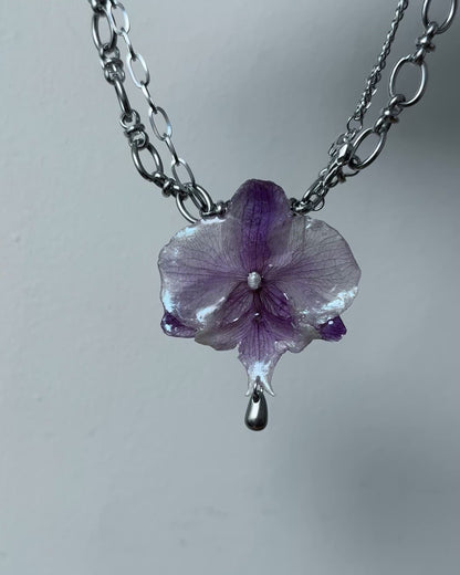 Lila Orchidee