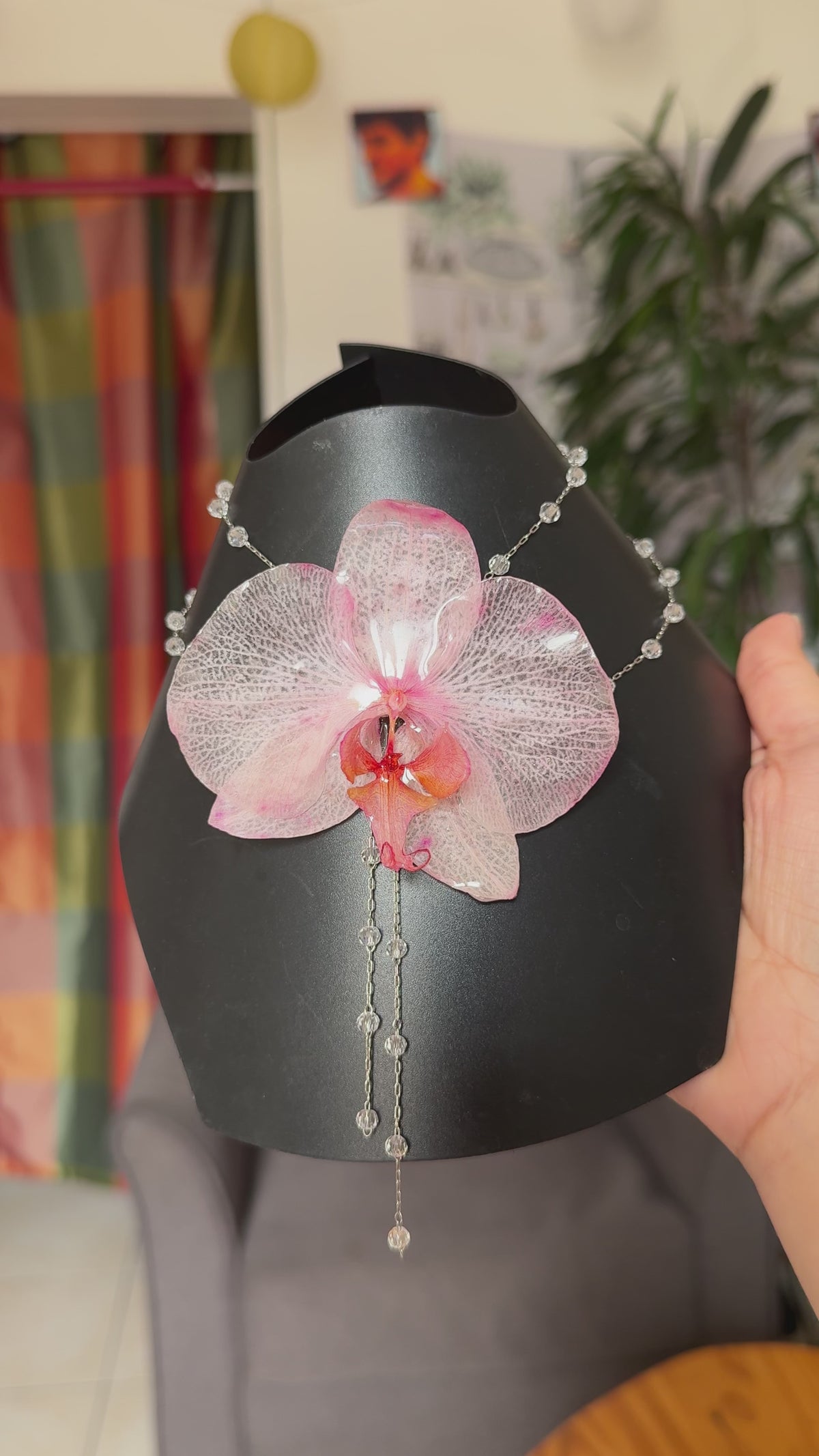 HALO signature - Blush orchid
