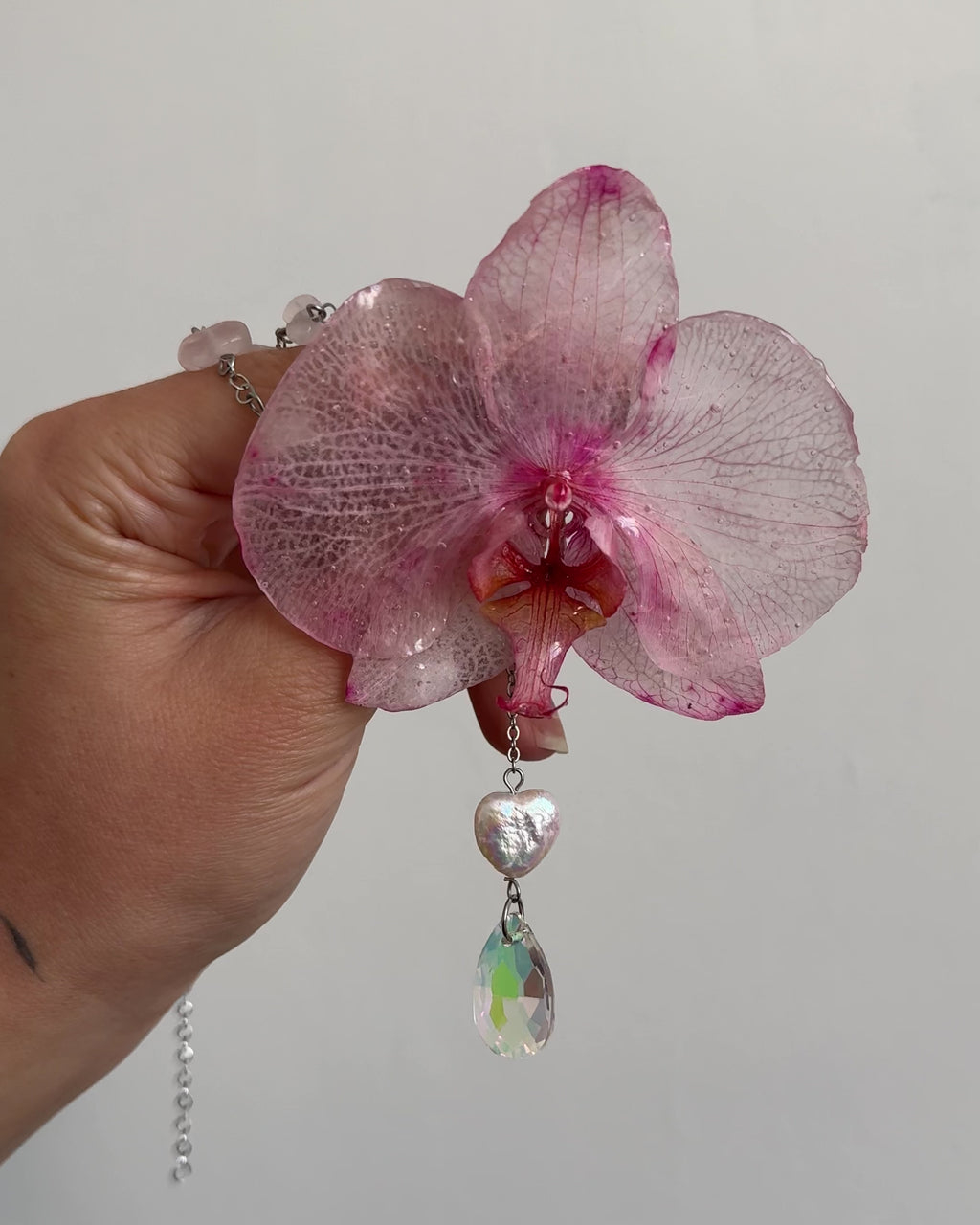 Petunia orchid