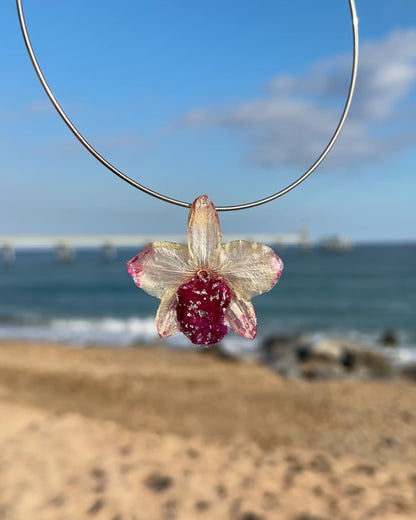 Fuchsien-Orchidee